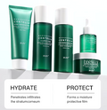 Snow Grass Skincare Set. Hydrate & Protect 5-Steps